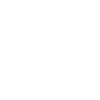 icons8-plane-100