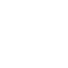 icons8-subway-100 (1)